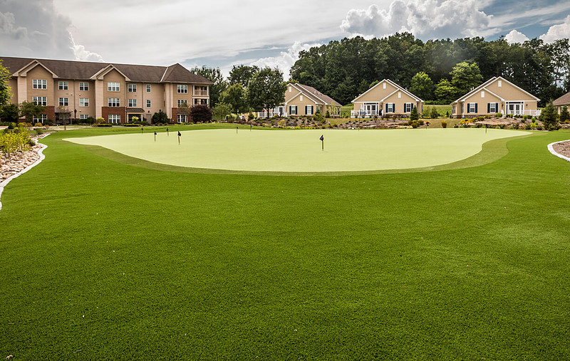 Palmer Park preview 2